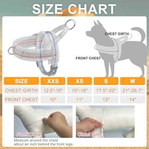 Dog Harness Medium Sized and Leash Set (Orange / M: Chest 21"-26.7")