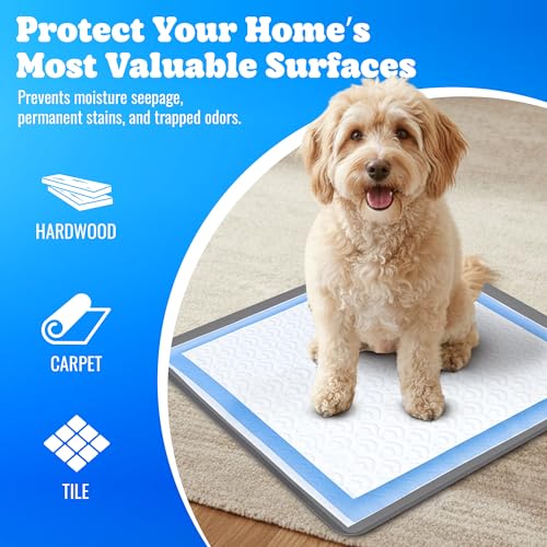 Dog Pee Pad Holder (Dark Grey / 1 Pack)