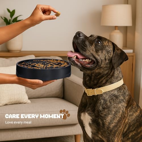 Slow Feeder Dog Bowl (orange)