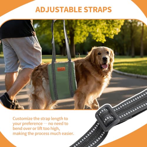 Dog Lift Harness for Large Dogs (Medium (Pack of 1) / Army green)