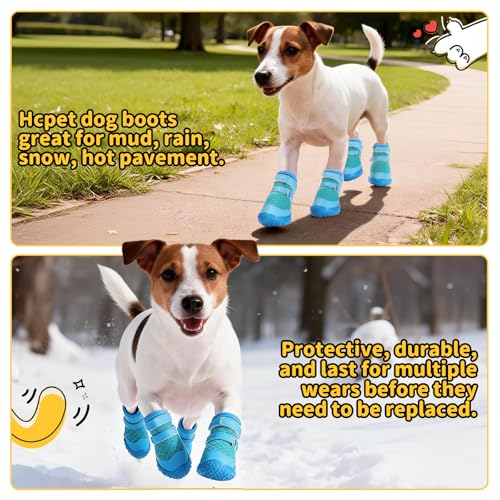 Dog Shoes for Small Dogs (Blue / #1 (Width 1.10 inch) for 2.2-6.6 lbs)