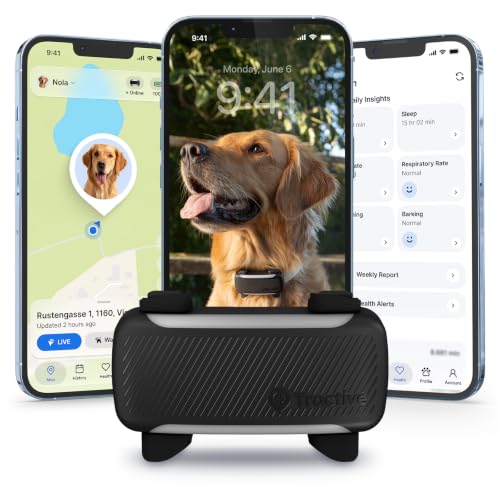 XL Smart Dog GPS Tracker (Black)