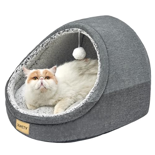 Cute Cat Beds for Indoor Cats (Medium / Dark Gray)