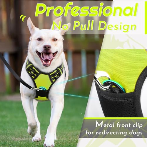 Dog Harness for Small Dogs (Small / Green)