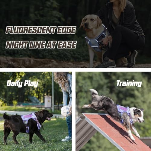 Dog Harness for Small Medium Dogs (Very Peri / S(Neck:14-21",Chest:20-31"),18-35 lbs)