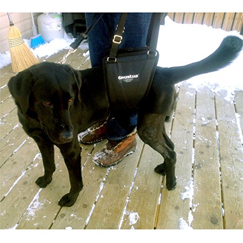 K9 Sling Hind Leg Support (Medium-Large - Unisex)