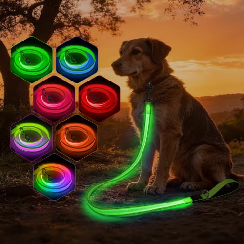 Light Up Dog Leash (Green / 4FT)