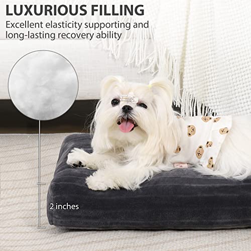 Washable Dog Crate Bed Kennel Mat for XX (Gray / 17.0"L x 11.0"W x 2.5"Th)
