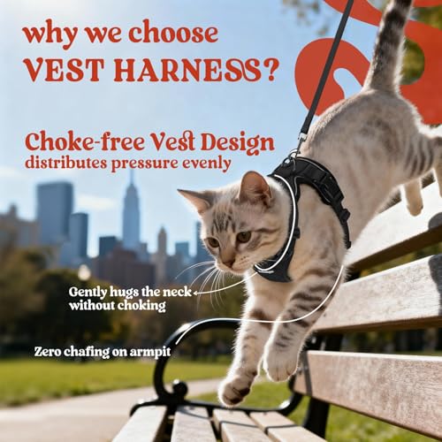 Cat Harness and Leash Set (Xxs / Black)