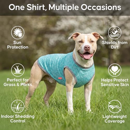 2Pack Dog Shirt for Small Dogs Sun Protection Tank Top for Summer (Medium (7-13lbs) / 1# 2Pack (Grey+Blue))