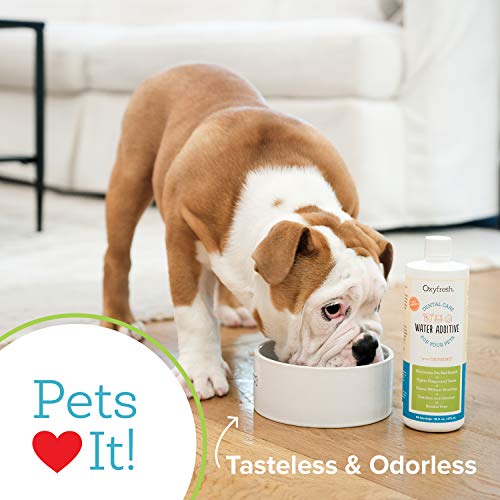 Premium Pet Dental Care Solution Pet Water Additive (Vet Choice Gallon)