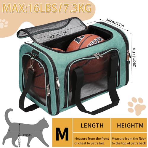 Soft Sided Cat (Turquoise / 17"L x 11"W x 11"H)