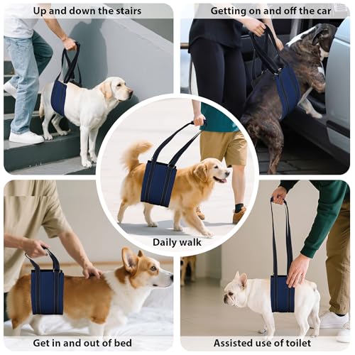 Summer Dog Lift Harness for Hind Leg Support (-Navy-Blue / M)