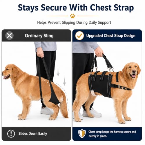 Dog Lift Harness for Large Dogs (XL)