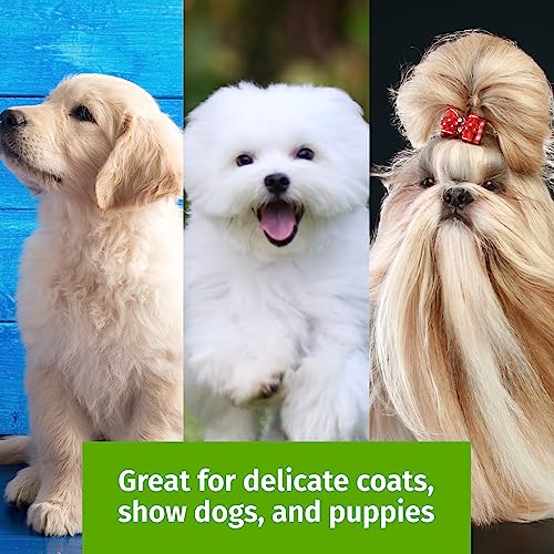 Tuffer Than Tangles Slicker Brush for Dog Grooming with Long (Medium Size Soft Pins)