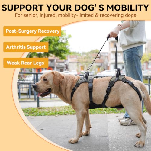 Dog Lift Harness for Senior Dogs (L)