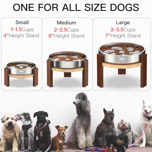 Elevated Dog Bowl Stand (4" Height 1Cup Slow Feeder)