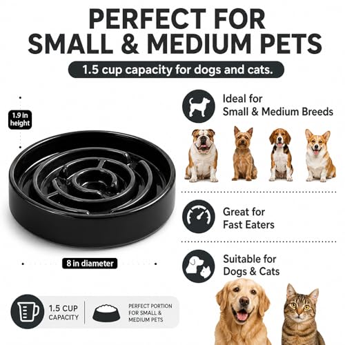 Ceramic Slow Feeder Dog Bowl (Black)