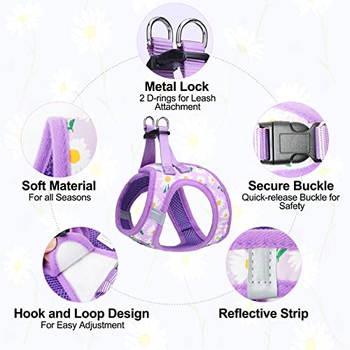 Dog Harness Medium Sized and Leash Set (Medium(Chest Girth 16" - 18") / Purple Daisy)