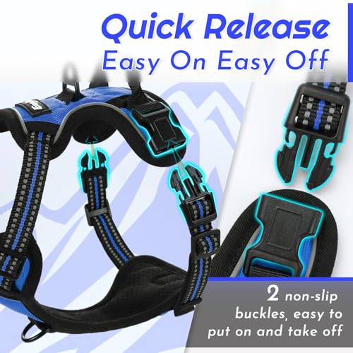 Dog Harness for Small Dogs (X-Small / Blue)