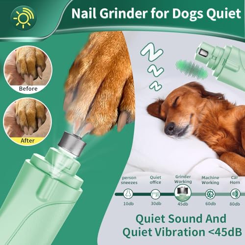 2 in 1 Dog Nail Clippers & Cat Nail Clippers Trimmers for Large Medium Small Dogs Cats Claw Trimmer Quick Sensor and Safety Guard USB Rechargeable Dogs Nail Trimmer with Catcher & 2 LED Lights (Green)
