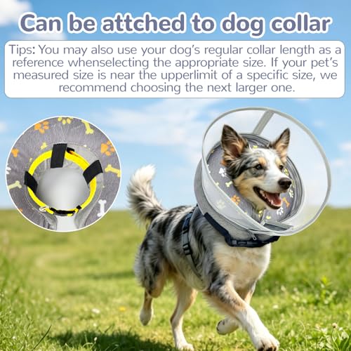 Inflatable Dog Cone Collar with Anti (Paw / M(Neck:6.5-9''))