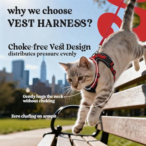 Cat Harness and Leash Set (S / Black & Red)