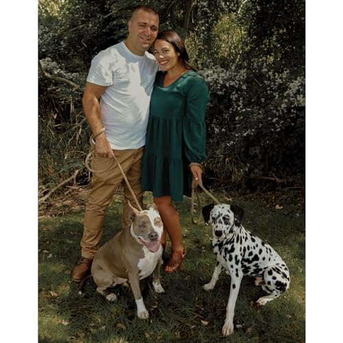 Heavy Duty Slip Lead No Pull Leash w Leather (Brown / 6 Feet)