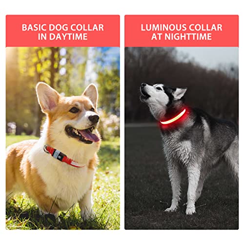 Light up Dog Collar (Red / M(15 inch-19.7 inch))