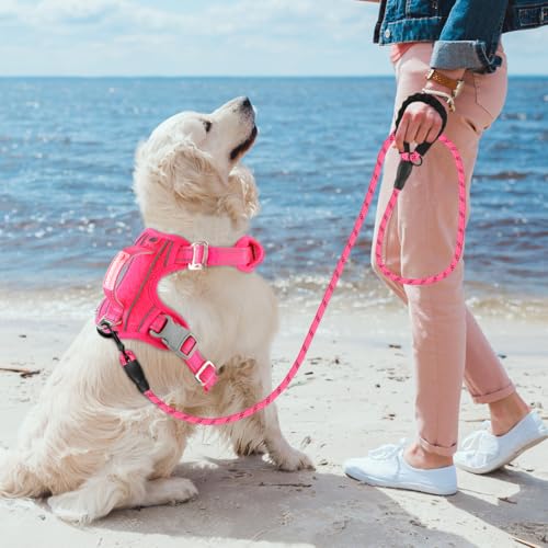 Dog Harness for Large Dogs No Pull Dog Vest ID Tag Pocket (New Pink / X-Large)
