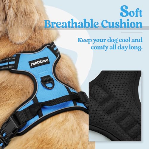 Dog Harness No Pull for Large Dogs with 2 Leash Clips (Large / Blue)