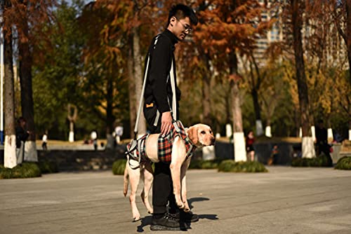 Shoulder Belt Strap for Dog Lift Harness (F / Shoulder Strap)