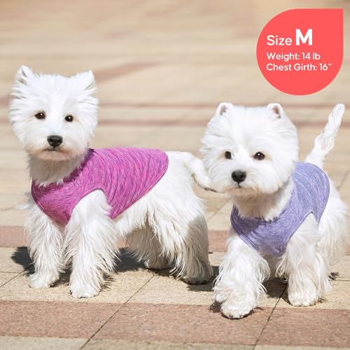 2Pack Dog Shirt for Small Dogs Sun Protection Tank Top for Summer (Large (13-19lbs) / 2# 2Pack (Purple+Pink))