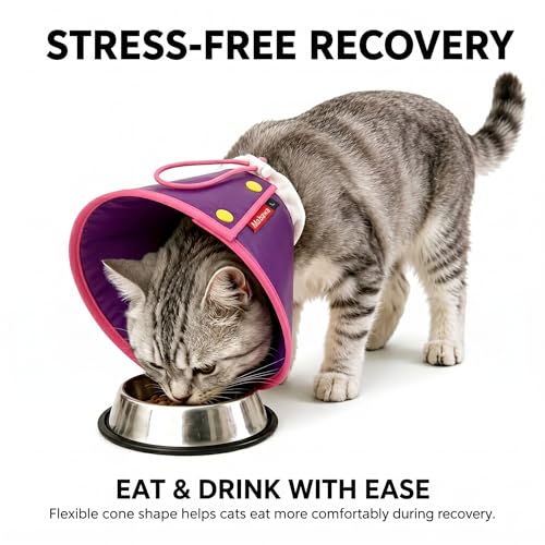 Soft Dog Cone Collar for Dogs & Cats (Purple / S)