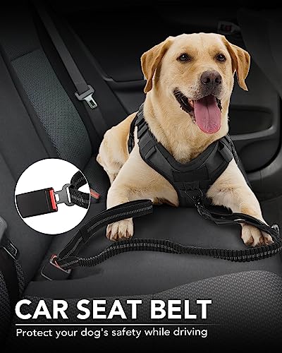 Tactical Bungee Dog Leash (Black)