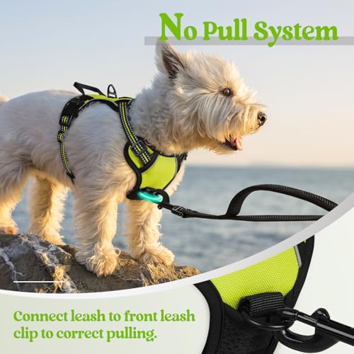 Dog Harness No Pull with 2 Leash Clips (X-Small / Wild Lime)