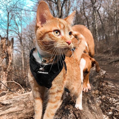 Cat Harness and Leash Set (Xxs / Black)