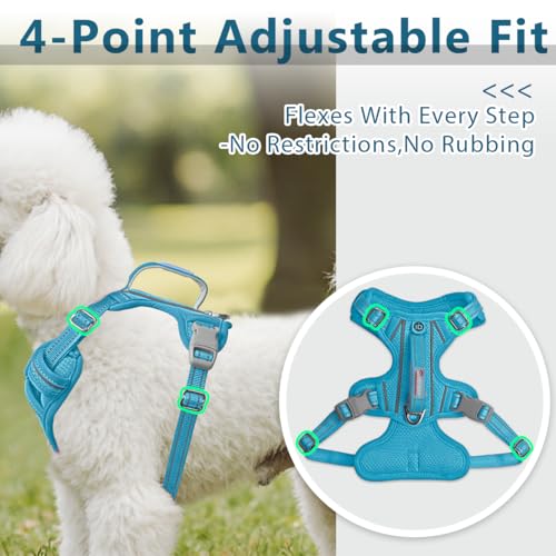 No Pull Dog Harness for Small Sized Dogs (Small(Chest:19.5-26”) / Ocean Blue)