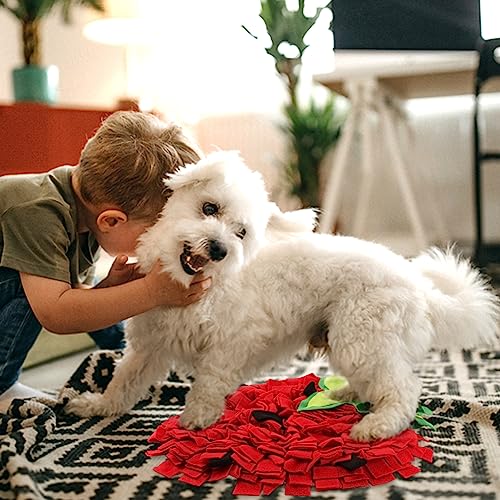 Snuffle Mat for Dogs