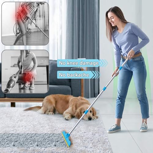 3 in 1 Carpet Rake for Pet Hair Removal (60inch / Deepblue)