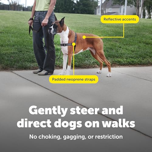 Easy Walk Deluxe Dog Harness (Medium / Steel)