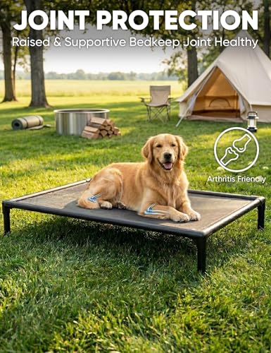 Elevated Dog Bed Waterproof Outdoor (XXL (56"L x 37.5"W x 9"H) / Grey)