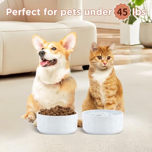 Ceramic Dog and Cat Bowls 2 Pack (6.1 in - 3.6 cups / Paw White - Only Bowls*2)