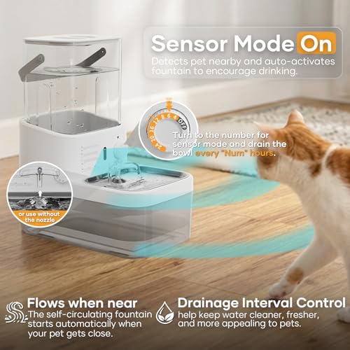 3L Filterless Cat Water Fountain (White)