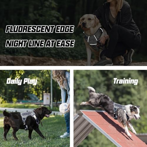 Dog Harness for Small Medium Dogs (Tribal Patterns-Grey / S(Neck:14-21",Chest:20-31"),18-35 lbs)