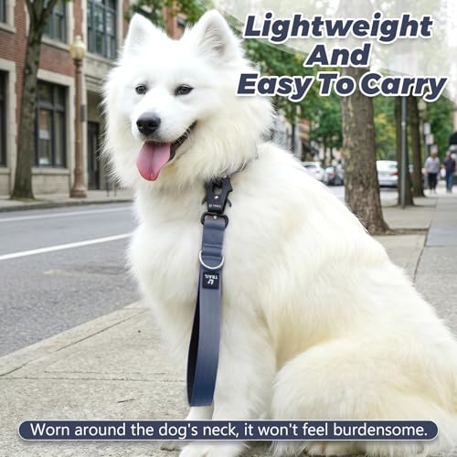 14 Inch Traffic Dog Leash with Padded Handle (Steel Blue Gray)