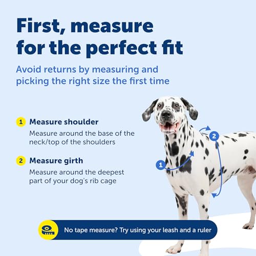 Easy Walk 3 in 1 No Pull Dog Harness (Plum / Medium (Pack of 1))