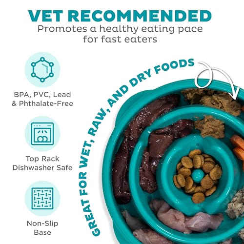 Fun Feeder Slo Bowl (Turquoise / Medium)