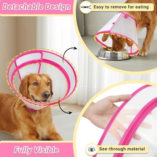 Dog Cone to Stop Licking (Hot Pink / M(Neck: 11.75"-13.75"))