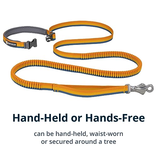 Roamer Bungee Dog Leash (5.5'-7' / Yellow Snow)